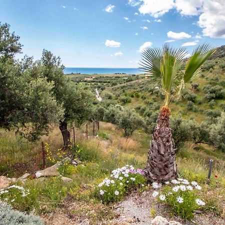 Laconian Collection # Gytheio Sea View Kostantinos Apartment# Selinitsa ภายนอก รูปภาพ